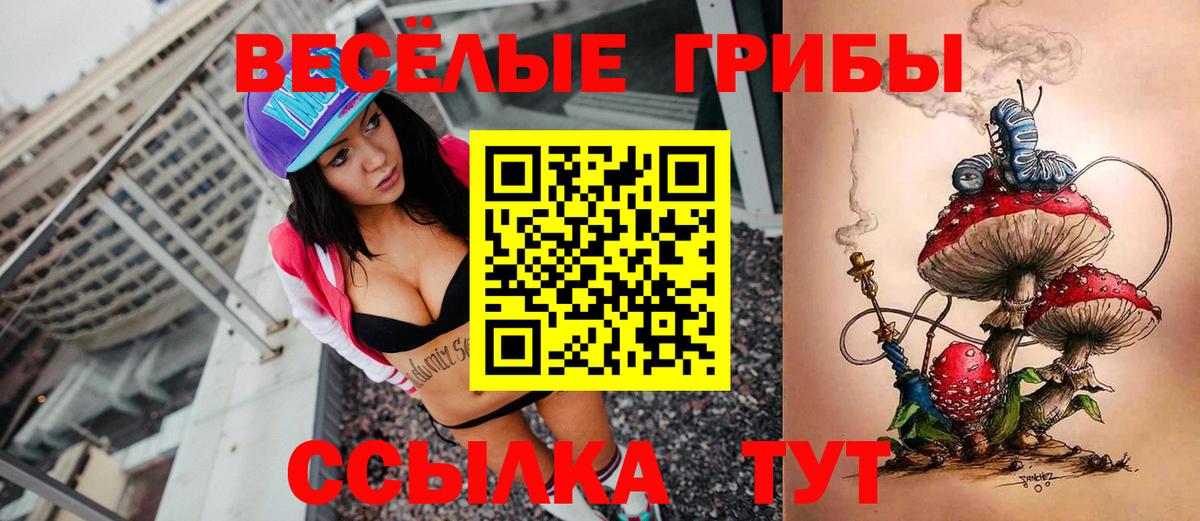Нижний Новгород  Галлюциногенные грибы Magic Shrooms  Вход с VPN 